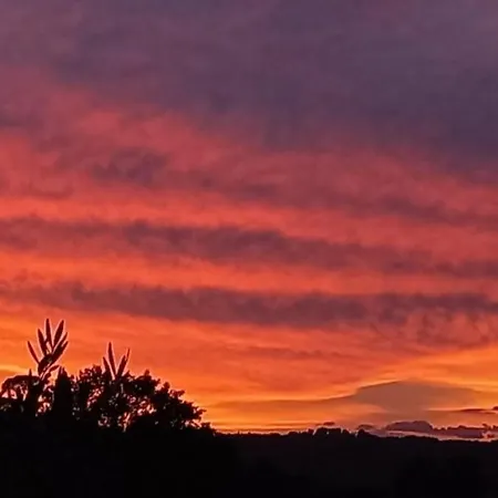 Poggio Olivo * Acquaviva (Montepulciano)