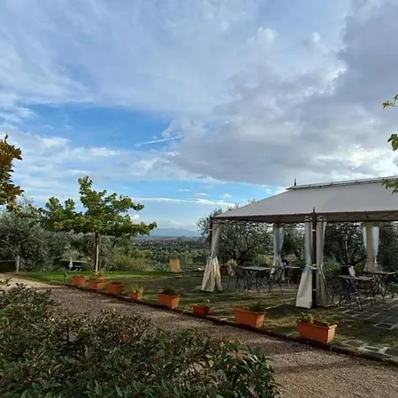 Poggio Olivo