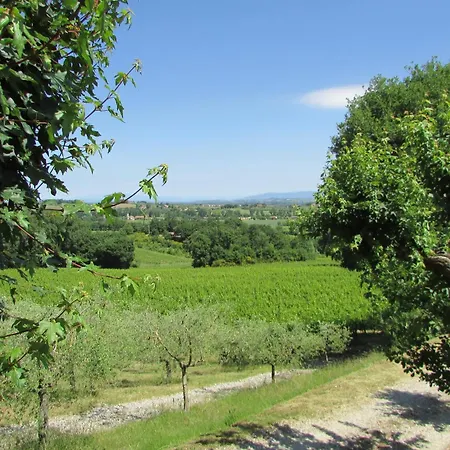 Poggio Olivo Acquaviva (Montepulciano)