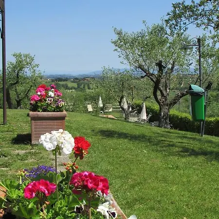 Poggio Olivo Acquaviva (Montepulciano)